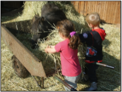F&uuml;tterung der Tiere im Kindercamp